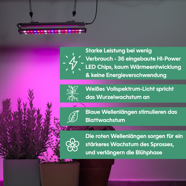 GrowLight Quattro - Parus by Venso LED Pflanzenlampe 60W, Anzuchtlampe LED Pflanzenlampe Vollspektrum, Überwinterung Venso Ecosolutions Pflanzen Licht, Pflanzenlampe Anzucht, Pflanzenlicht LED