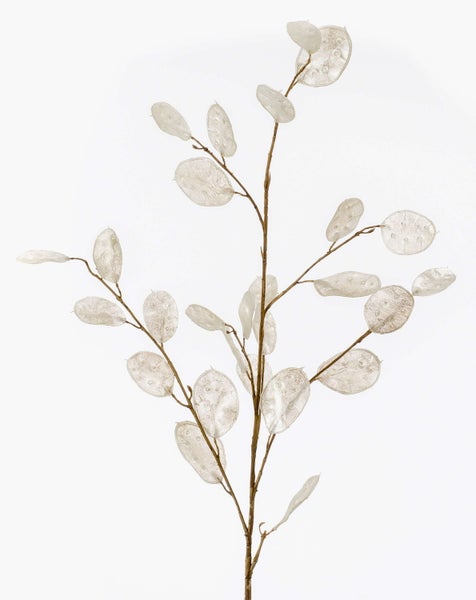 Dekozweig Lunaria Zweig BUELNA, Creme, 105cm - Kunstzweig/Silberblatt künstlich
