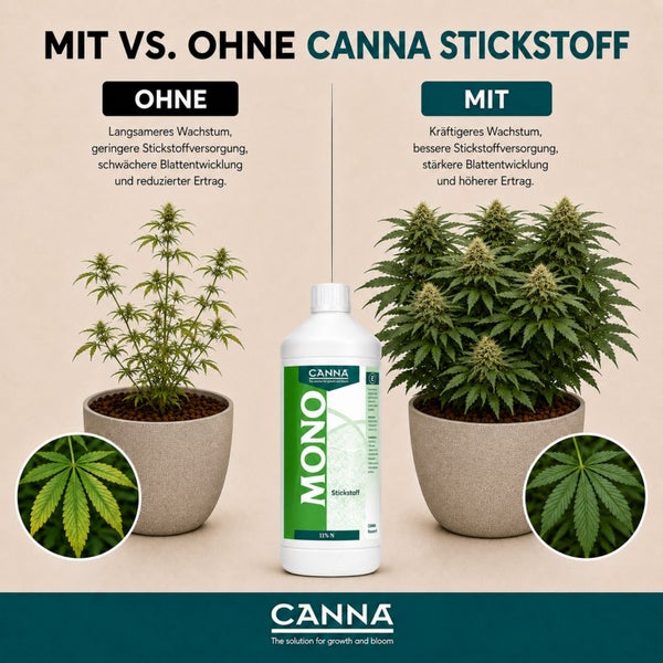 Vergleichsgrafik CANNA Mono Stickstoff Pflanzendünger zeigt Wachstumsunterschiede bei Cannabispflanzen mit und ohne Stickstoffzugabe.