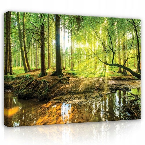 Leinwandbild Wald Natur Bilder Wohnzimmer 120X80 cm