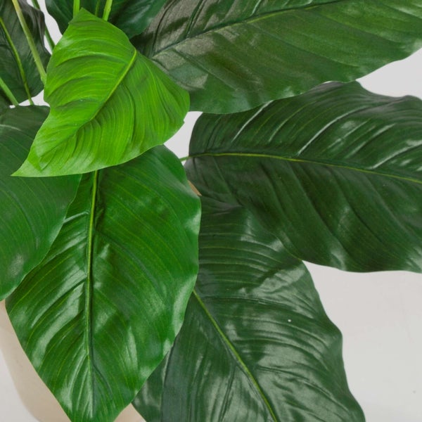 Künstliches Einblatt Spathiphyllum mit grünen Blättern und weißen Blüten