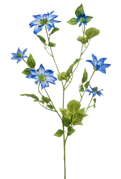 Künstlicher Clematis-Zweig mit mehreren blauen Blüten und grünen Blättern.