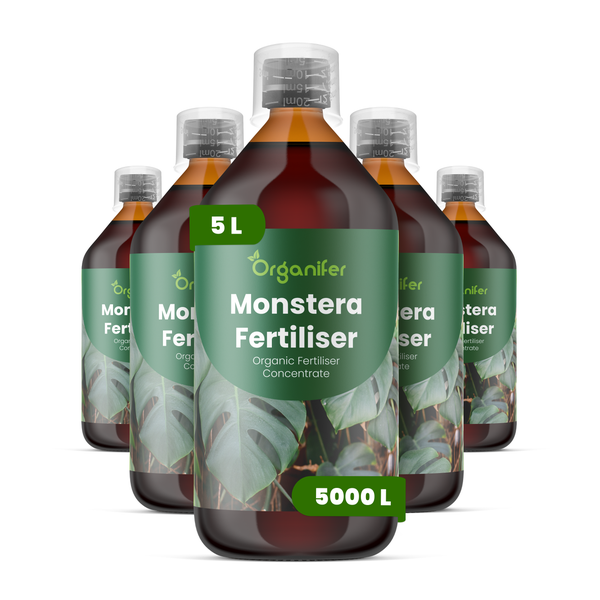 Fünf Flaschen Organifer Monstera Dünger, organisches Düngerkonzentrat, 5 Liter Inhalt für bis zu 5000 Liter Gießwasser.
