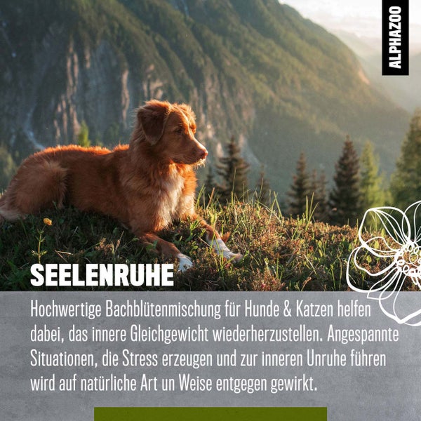 ALPHAZOO Seelenruhe Bachblüten 15g für Hunde und Katzen I Entspannung Globuli Pastillen