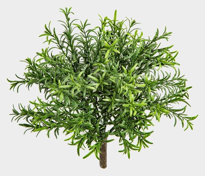 Schwarzer Kunststoff-Blumentopf mit grünen Blättern.