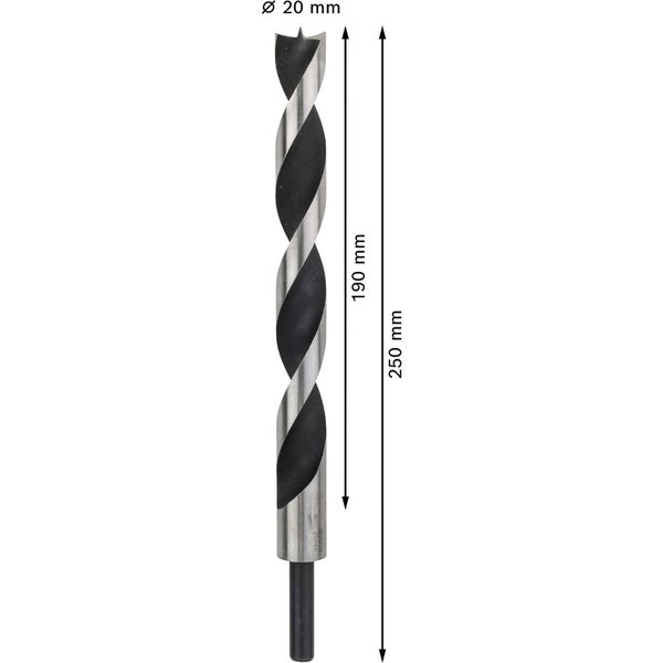 Holzspiralbohrer mit 20 Millimeter Durchmesser und 250 Millimeter Länge