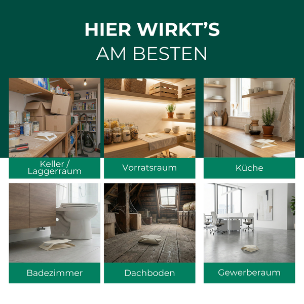 Anwendungsbereiche von Produkten: Keller, Vorratsraum, Küche, Badezimmer, Dachboden, Gewerberaum