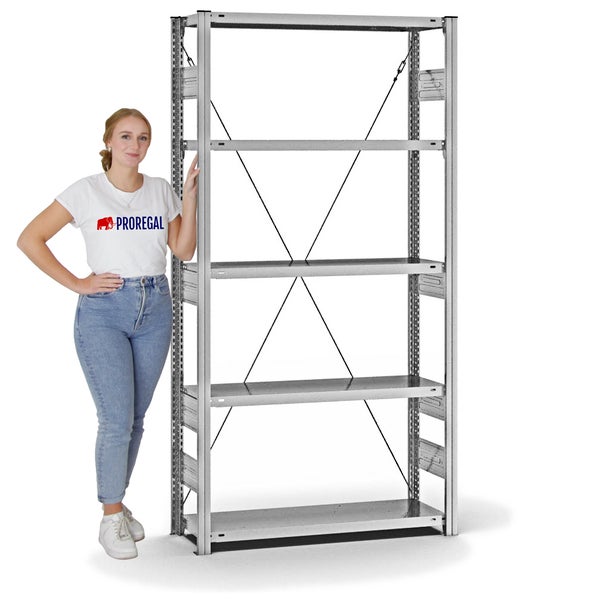 PROREGAL Fachbodenregal Stecksystem T-Profil Heavy-Duty Grundregal HxBxT 200 x 100 x 30 cm 5 Ebenen Fachlast 300 kg Einseitig Nutzbar Verzinkt