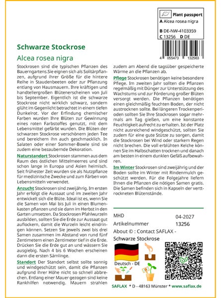 SAFLAX Garden to go - Schwarze Stockrose - Alcea rosea nigra - 100 Samen - Mit Topf, Klima - Deckel und Anzuchtsubstrat