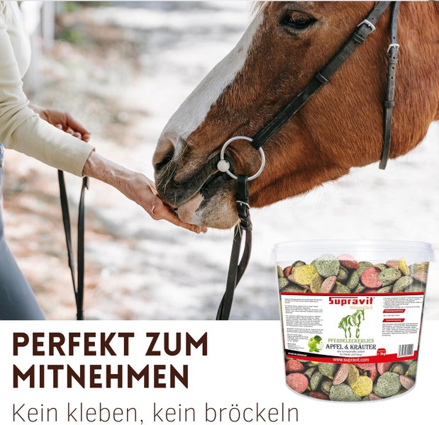 Pferd wird mit Apfel-Kräuter-Leckerlis von Supravit gefüttert