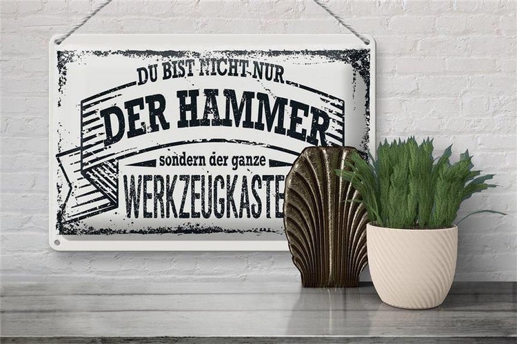 Blechschild Spruch 30x20cm Du bist nicht nur
