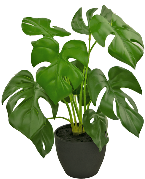 Knstliche Monstera 40 cm in dekorativem Topf schwarz | HORNBACH