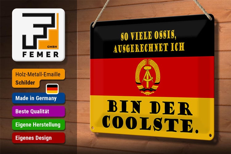 Blechschild Spruch 30x20cm so viele Ossis bin der coolste