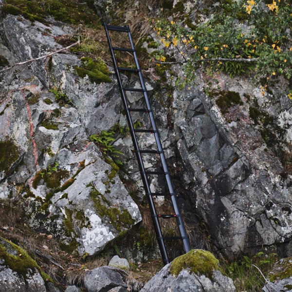 Schwarze Teleskopleiter aus Metall lehnt an einer moosbedeckten Felswand im Freien.