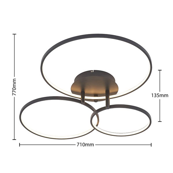 Nahaufnahme einer Zwerg-Fichte im Gartenbeet zwischen Steinen und anderen Pflanzen.