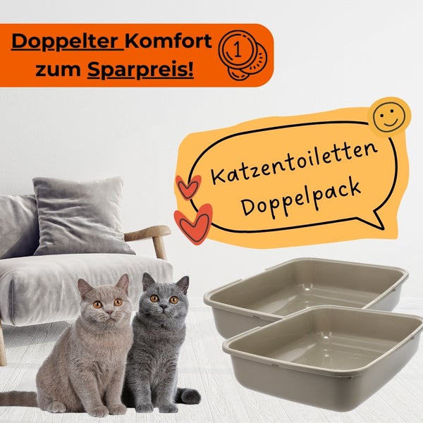 Zwei Katzentoiletten im Doppelpack neben zwei Katzen