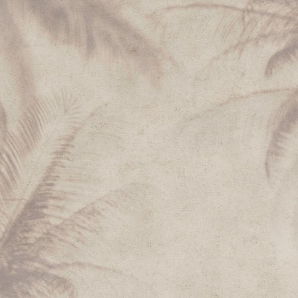 Hintergrund mit Schatten von Palmen