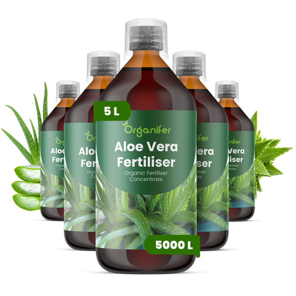 Fünf Flaschen Organifer Aloe Vera Dünger mit jeweils 5 Litern, organisches Düngerkonzentrat für insgesamt 5000 Liter Gießwasser.