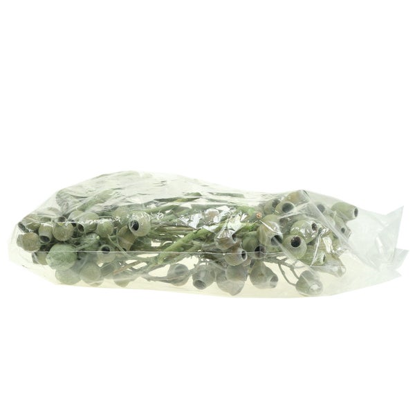 Eukalyptus-Zweig-Bündel in Kunststoffverpackung