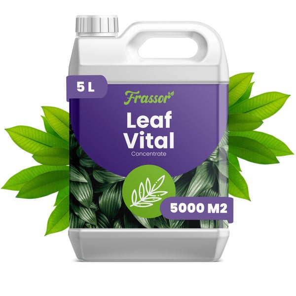 Frassor Leaf Vital Blattdünger Konzentrat 5 Liter für 5000 Quadratmeter