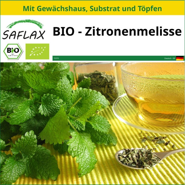 SAFLAX Anzucht Set - BIO - Zitronenmelisse - Melissa officinalis - 1000 Samen - Mit Mini-Gewächshaus, Anzuchtsubstrat und 2 Töpfen