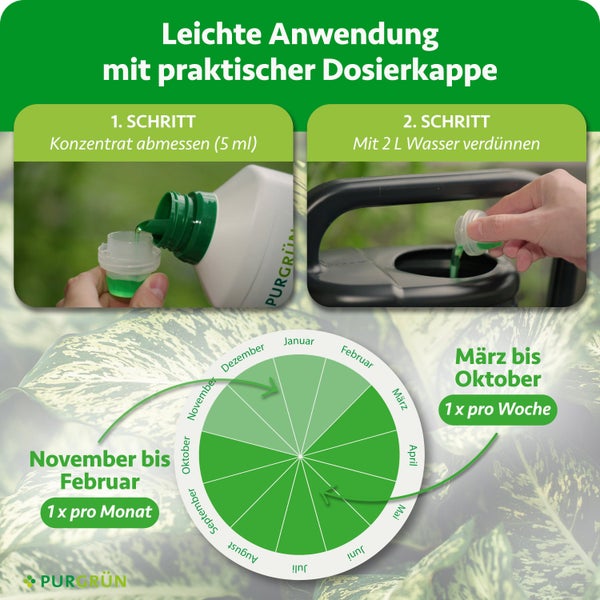 Purgrün Dünger Anwendung: 5 Milliliter messen, mit 2 Liter Wasser verdünnen. März bis Oktober wöchentlich, sonst monatlich. Purgrün Logo.