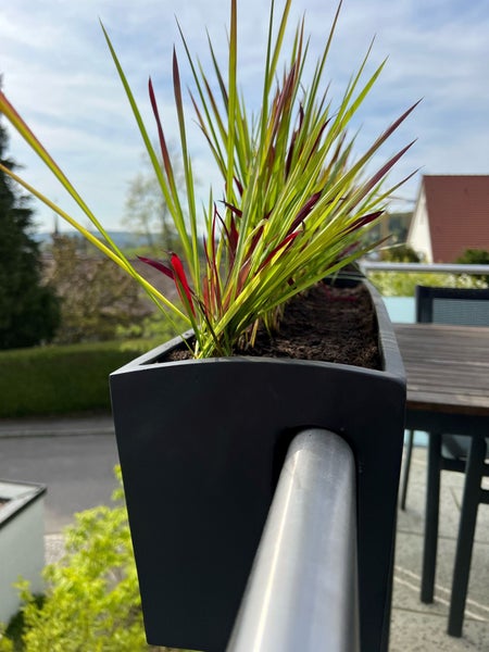 Balkonkasten in Anthrazit für das Geländer, bepflanzt mit grün-rotem Ziergras auf einer Terrasse.