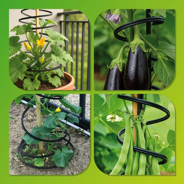 Collage von Gemüsepflanzen wie Zucchini, Auberginen, Gurken und Bohnen, die von einer schwarzen spiralförmigen Rankhilfe gestützt werden.