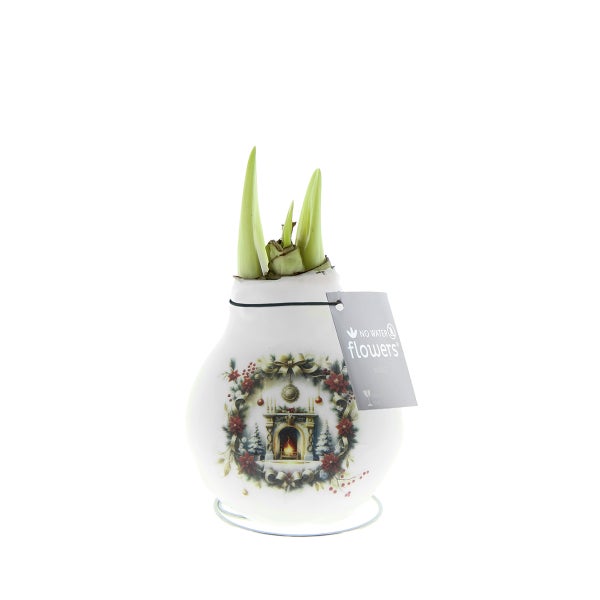 Weißer Blumentopf mit einer grünen Pflanze.
