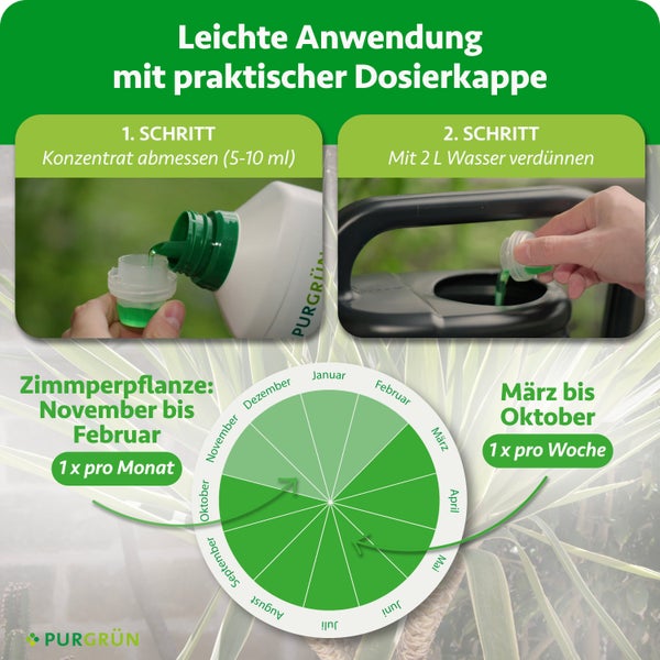 Lächelnder Gärtner mit Strohhut neben einer 1 Liter Flasche Purgrün Flüssigdünger für Yucca-Pflanzen im Innen- und Außenbereich.