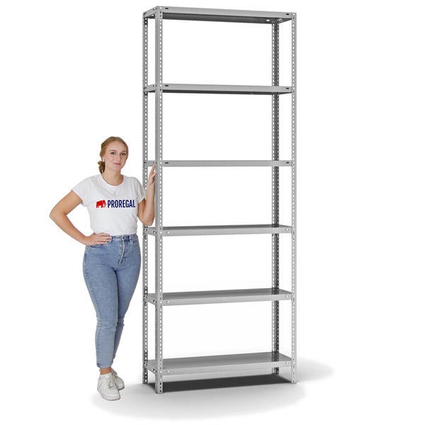 PROREGAL Fachbodenregal Schraubsystem Light-Duty Grundregal HxBxT 250 x 100 x 30 cm 6 Ebenen Fachlast 125 kg Beidseitig Nutzbar Verzinkt