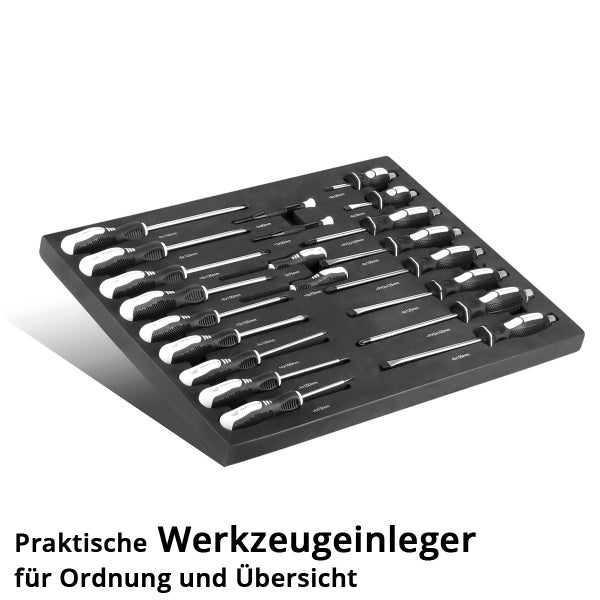 Sortiment an Schraubendrehern in Werkzeugeinlage
