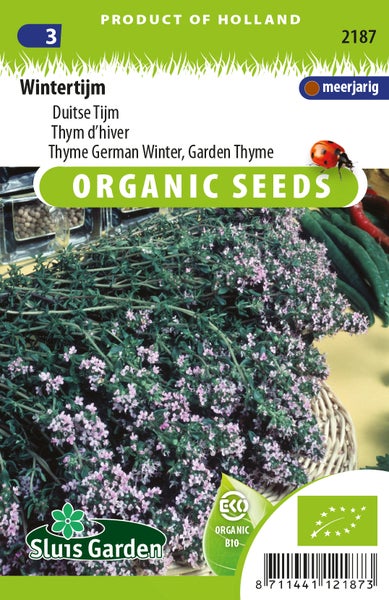 Winterthymian-Samenpackung für den Garten