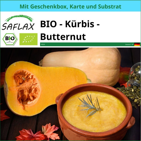 SAFLAX Geschenk Set - BIO - Kürbis - Butternut - Cucurbita moschata - 6 Samen - Mit Geschenkbox, Versandaufkleber, Geschenkkarte und Anzuchtsubstrat