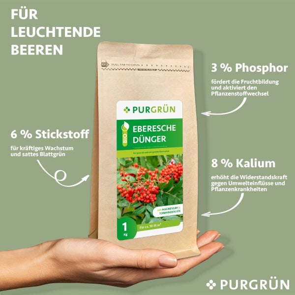 Purgrün Bio-Eberesche-Dünger 1 kg