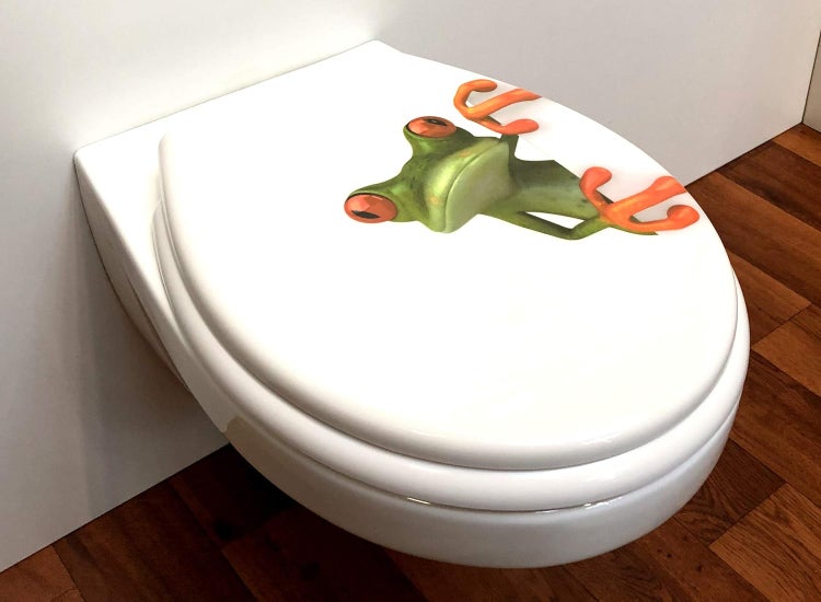 WC Sitz Frosch mit Absenkautomatik, zur Reinigung abnehmbar