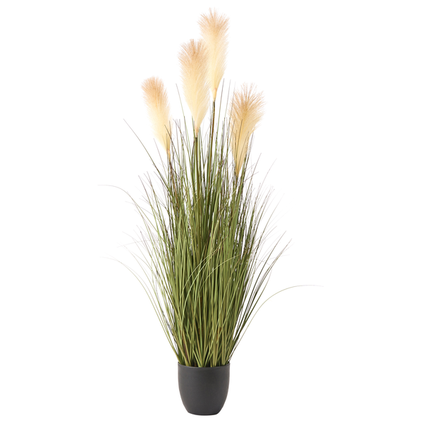 Kunstpflanze PAMPAS GRASS 120 cm Grn | HORNBACH