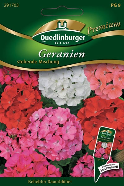Quedlinburger Samenpackung Mexikanische Minigurke, dekorative Früchte mit gestreifter Schale, inklusive Sortenetikett.