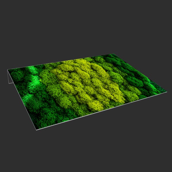 Lichtschachtabdeckung aus Acryl | Kellerschacht-Abdeckung | Schneeschutz | Regenschutz | Schutz gegen Schmutz, Schimmel, Laub und Schnee | Moos | Grün | Abdeckung | Dekorativ mit Motiv 110x45 cm