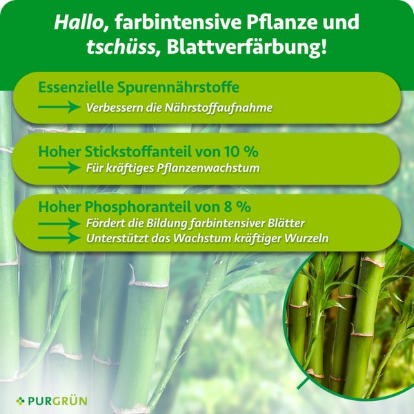 Produktinformationen zu PurGrün Dünger mit Spurennährstoffen, Stickstoff und Phosphor für gesundes Pflanzenwachstum und kräftige Blätter.