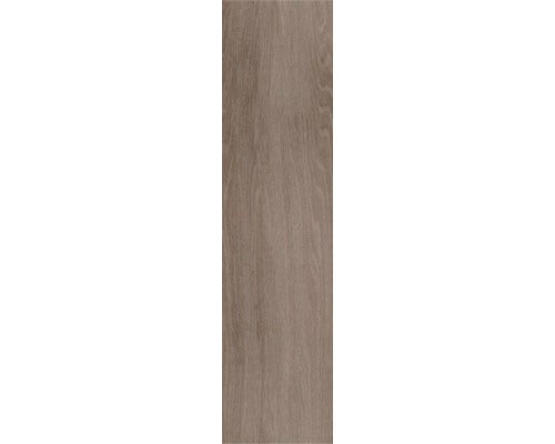 Laminat oder Vinyl in Holzoptik, einzelne Diele mit feiner Holzmaserung.