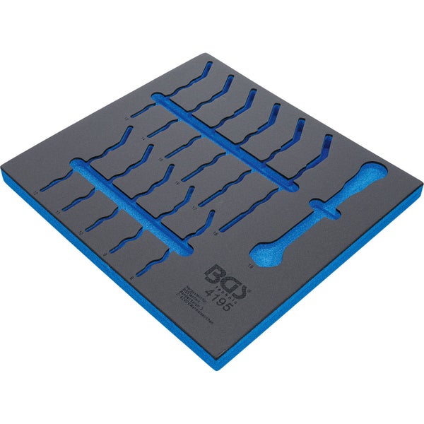 Nahaufnahme einer Fetthenne mit Blüten