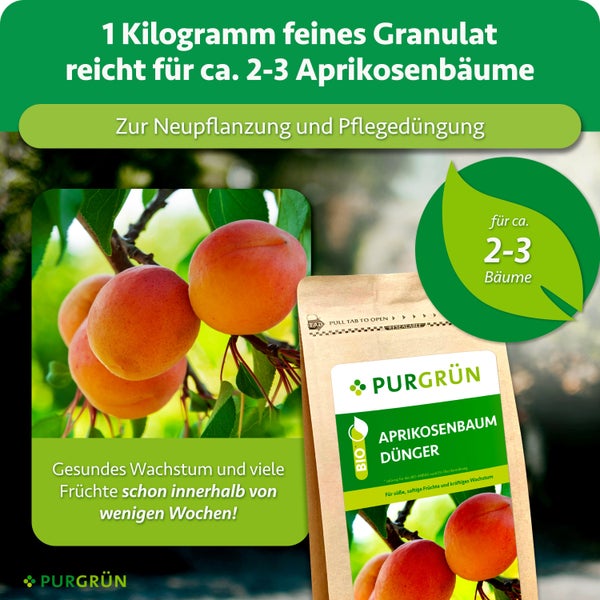 Purgrün Bio Aprikosenbaum Dünger, 1 Kilogramm feines Granulat für Neupflanzung und Pflegedüngung von zwei bis drei Aprikosenbäumen.
