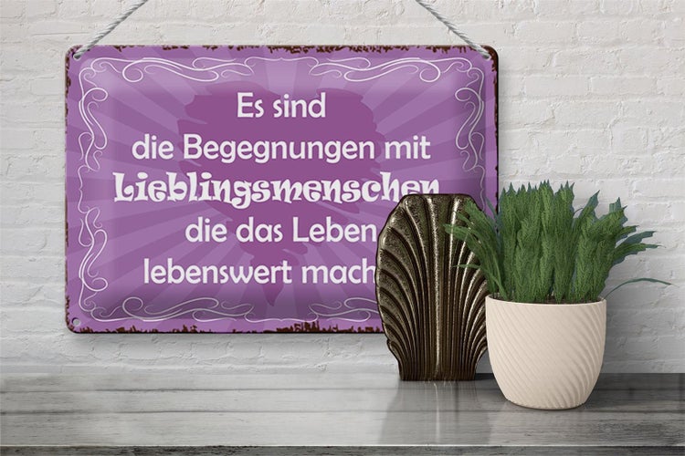 Blechschild Spruch 30x20cm Begegnungen Lieblingsmenschen