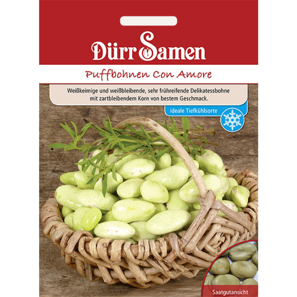 Puffbohnen dreifach weiße Saatgut von Dürr Samen