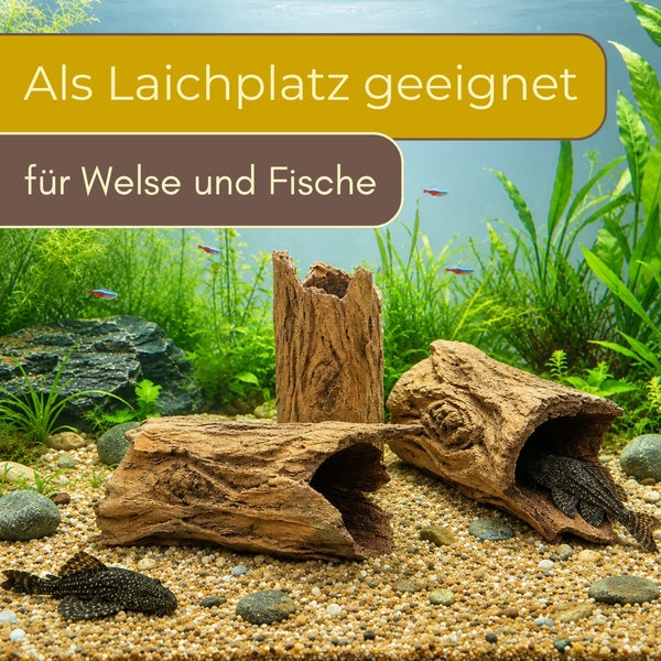 Aquarium-Dekoration Baumstamm als Laichplatz für Welse und Fische, mit Wasserpflanzen und Kies.