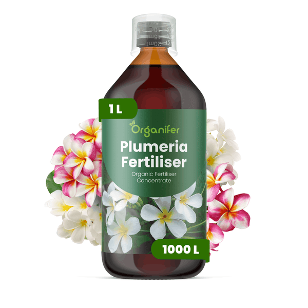 Organifer Plumeria Dünger, organisches Düngerkonzentrat, 1 Liter Flasche mit Messbecher für circa 1000 Liter Düngerlösung.