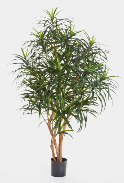 Künstliche Dracaena im schwarzen Topf, mehrstämmig mit schmalen grünen Blättern.