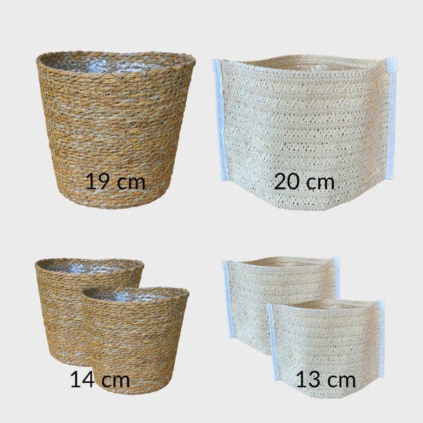 Bergpalme, Efeutute, Fensterblatt, Birken-Philodendron, Bogenhanf & Glücksfeder – 6er Box Zimmerpflanzen Starter-Set mit Übertöpfen - Höhe 20-70 cm - Töpfe ø 10,5-17 cm - Weiß-Natur Design