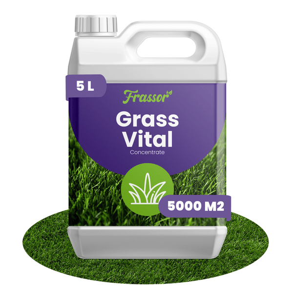 Frassor Grass Vital Rasendünger Konzentrat 5 Liter für 5000 Quadratmeter